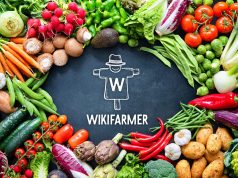 Wikifarmer: La startup de la agricultura