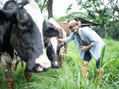 ¿Cómo crear hábitos nuevos este 2024?