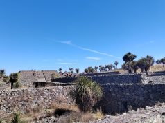 Datos Estadísticos, su Enigma y la Población que Dominó el Epiclásico