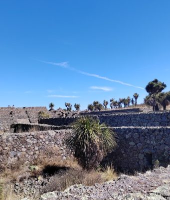 Datos Estadísticos, su Enigma y la Población que Dominó el Epiclásico