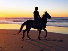 ☀️ Ixtapa-Zihuatanejo: Dos Mundos en un Paraíso del Pacífico