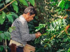 La Curaduría Mágica: 4 Pueblos de Puebla que dominan la «Micro-Especialización» turística (Guía 2026)